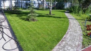 Мощение тротуарной плитки и газон